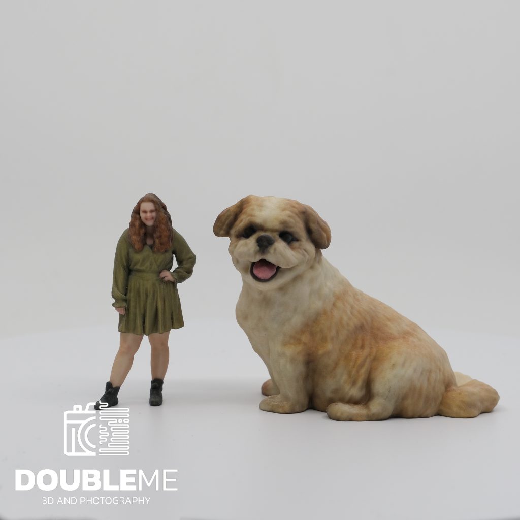 Het verschil in de prijs tussen honden en mensen is omdat een hond op dezelfde grootte veel meer volume heeft dan een beeldje van een persoon op die hoogte.